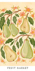 Pears and Petals (NEW) - Posterbox