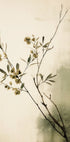 Delicate Branches (NEW) - Posterbox