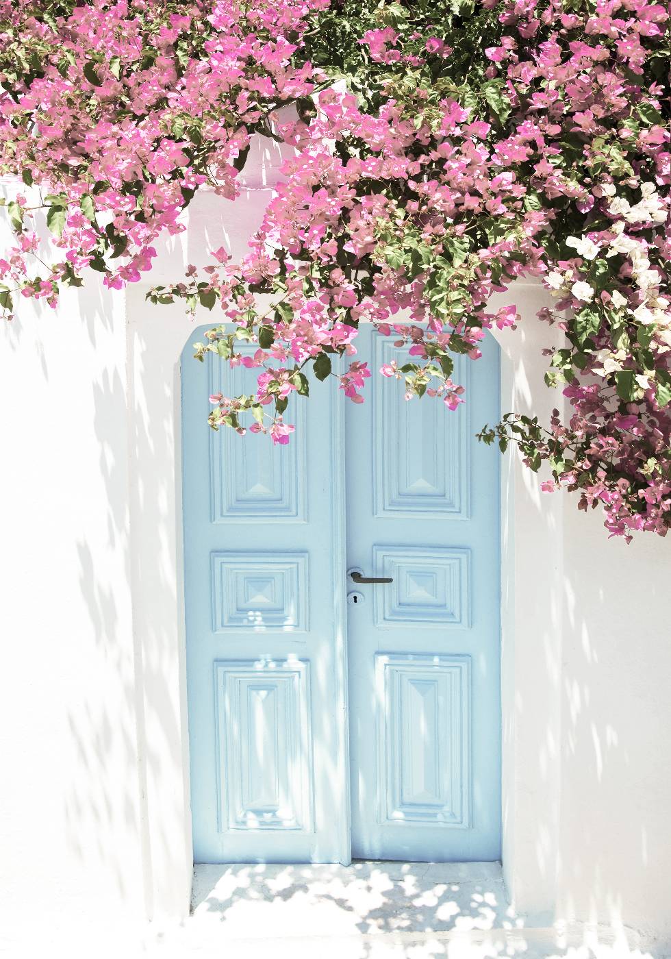 Pink Flower Door Poster - Posterbox.no