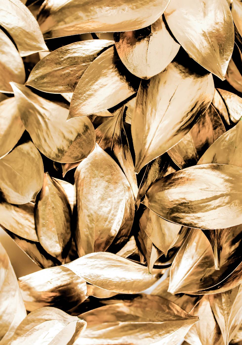 Gold Leaves Poster - Posterbox.no