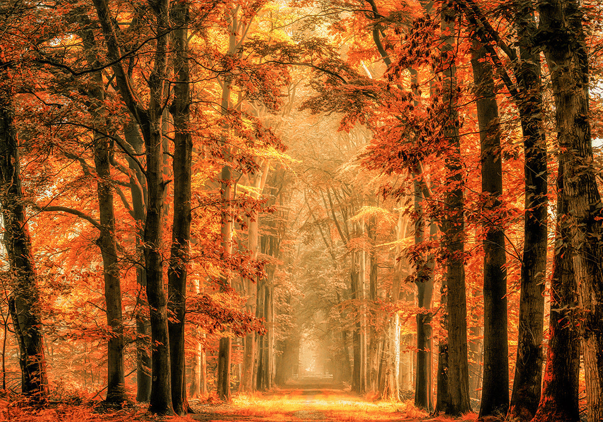 Exit the Portal Poster