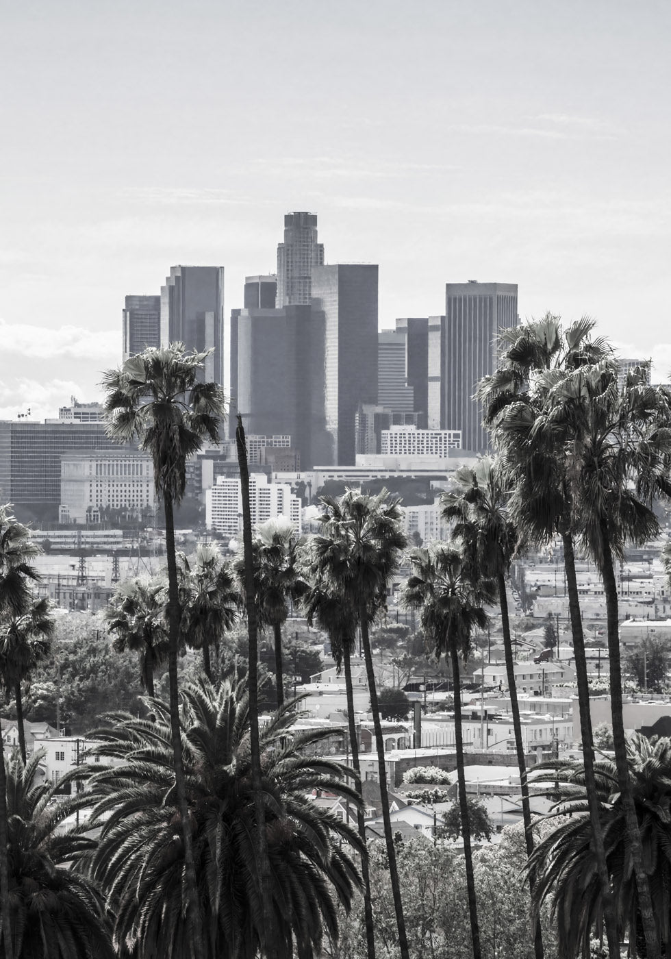 Los Angeles Poster - Posterbox.no