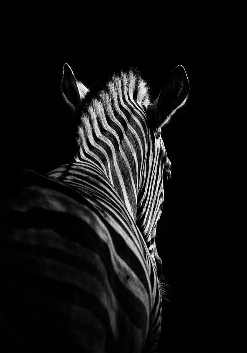 Stepping Down No.6 Poster