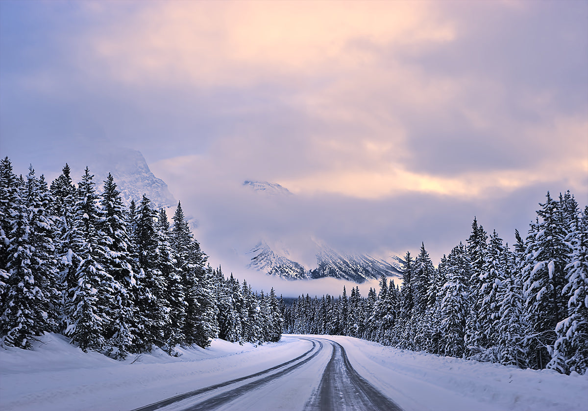 To the Wonderland Poster