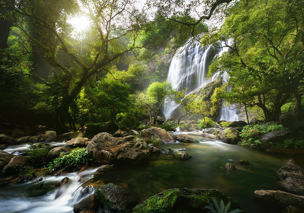 Mountain stream Poster