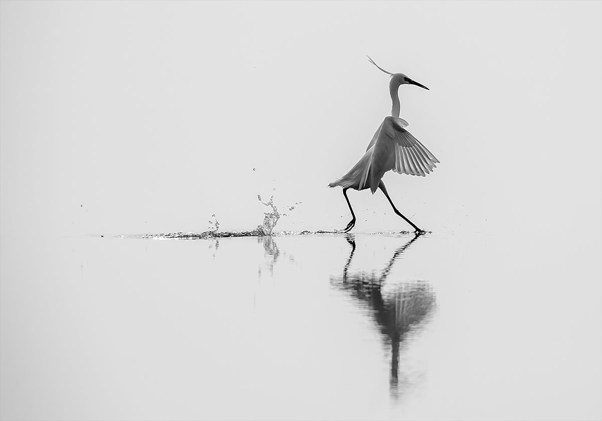 "Dancing on the water" Poster