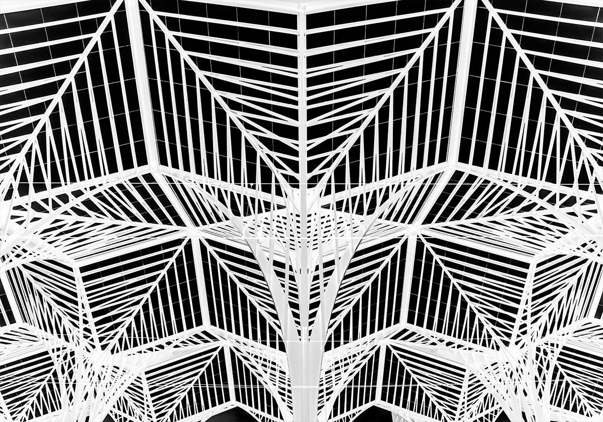 Enter the web Poster