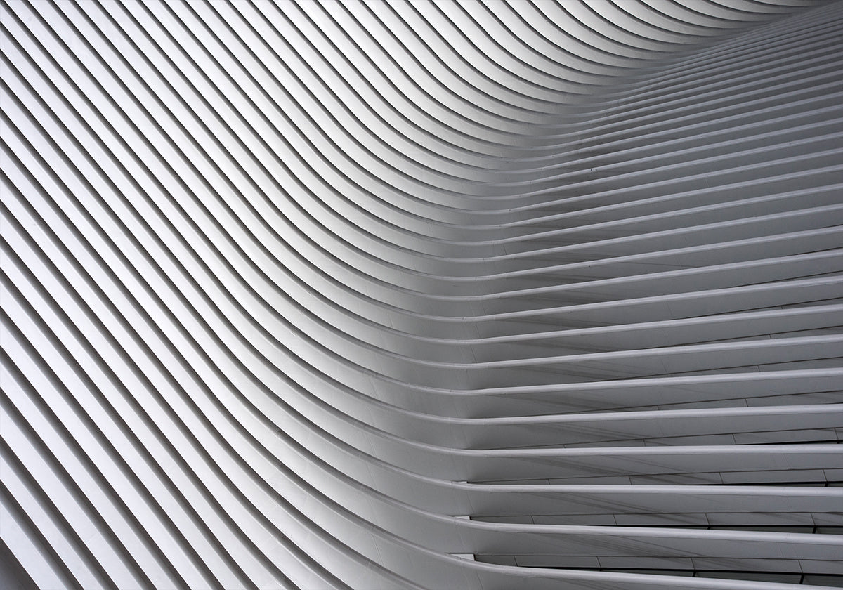 Calatrava Curves #2 Poster