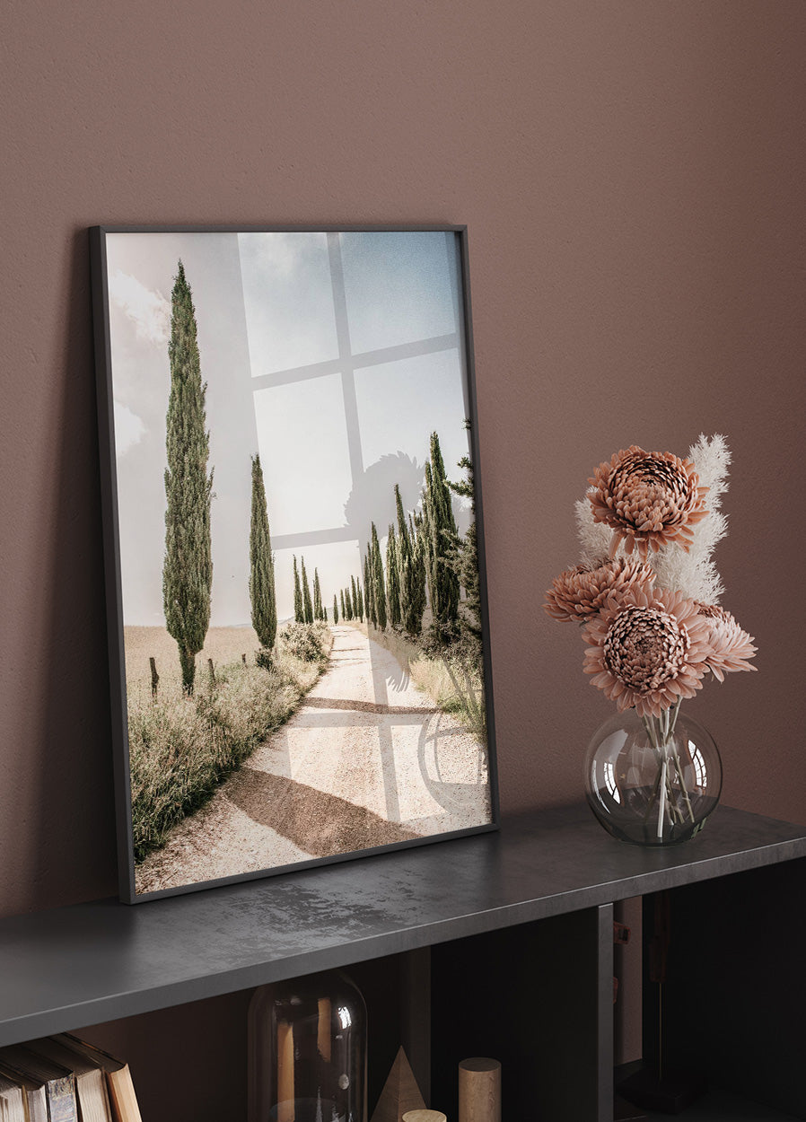 Cypress Tree Alley Poster - Posterbox.no