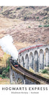 Hogwarts Express No. 1 Poster - Posterbox.no