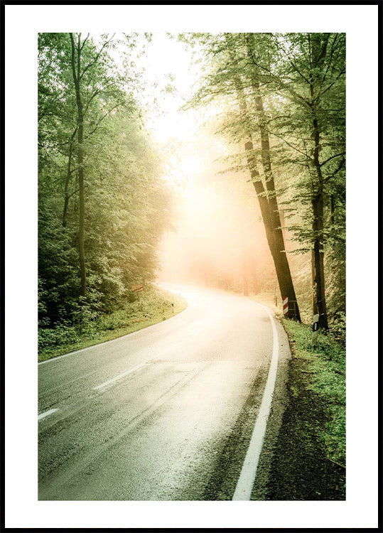 Fog Sunbeam Forest Poster - Posterbox.no
