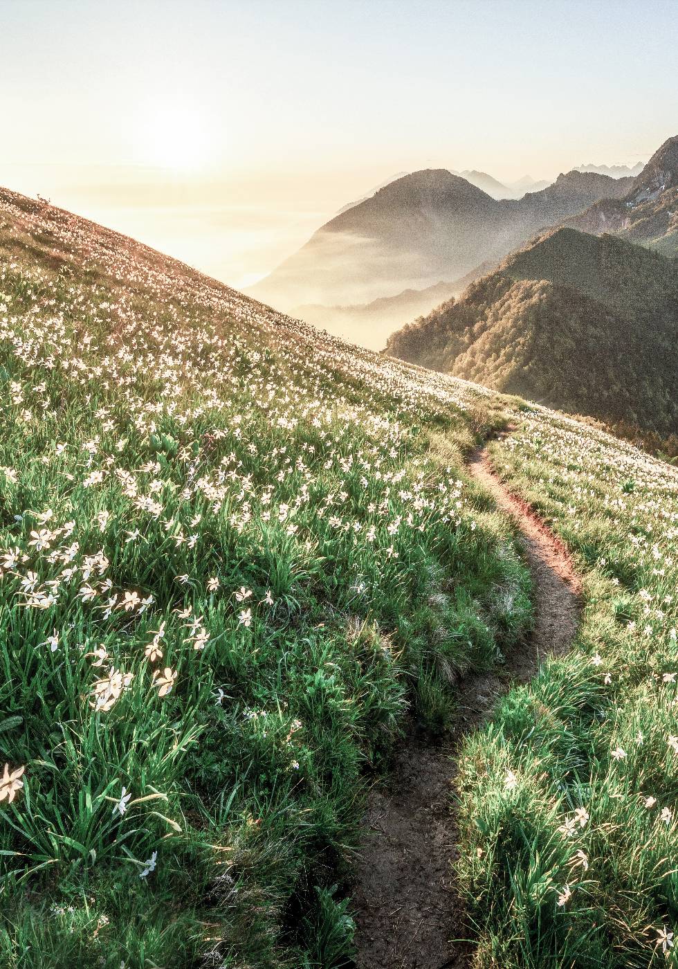 Mountain Sunset Poster - Posterbox.no