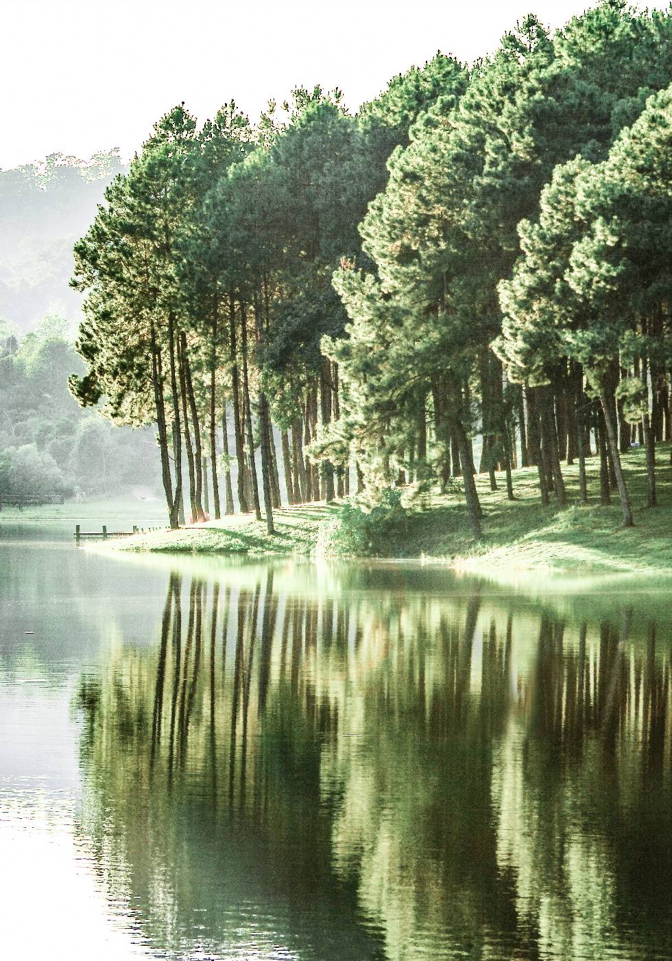 Green Summer Lake Poster - Posterbox.no