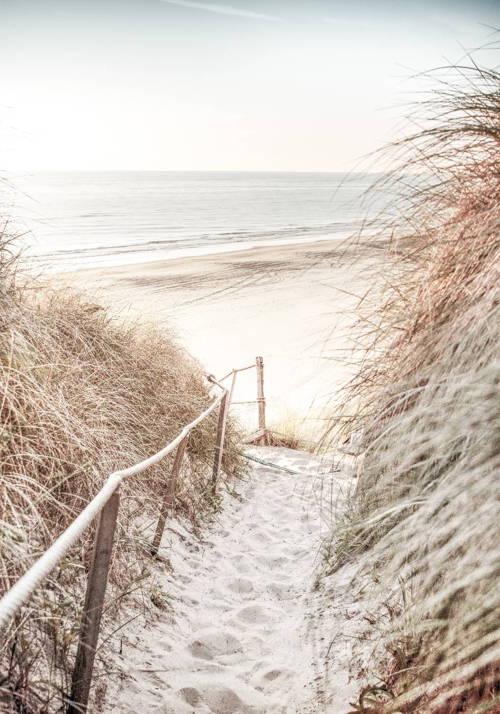 Path to Ocean Poster - Posterbox.no