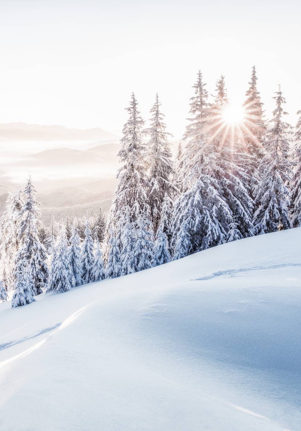 Winter Sunrise Poster - Posterbox.no