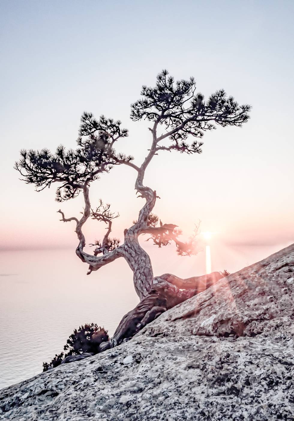 Morning Sun Poster - Posterbox.no