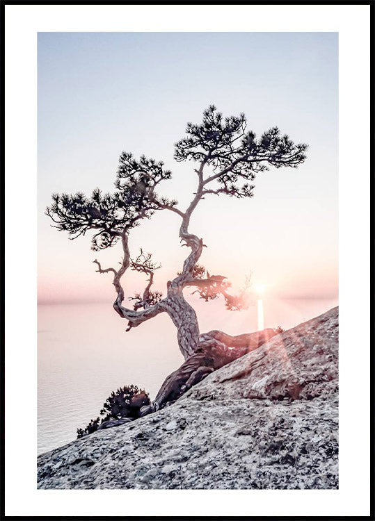 Morning Sun Poster - Posterbox.no