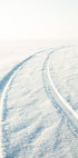 Desert Snow Tracks Poster - Posterbox.no