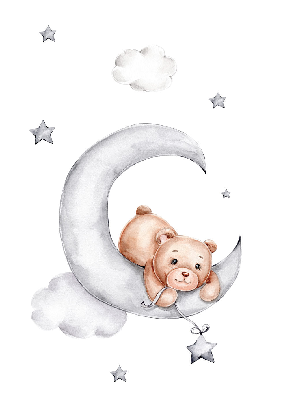 Teddy Bear Poster - Posterbox.no