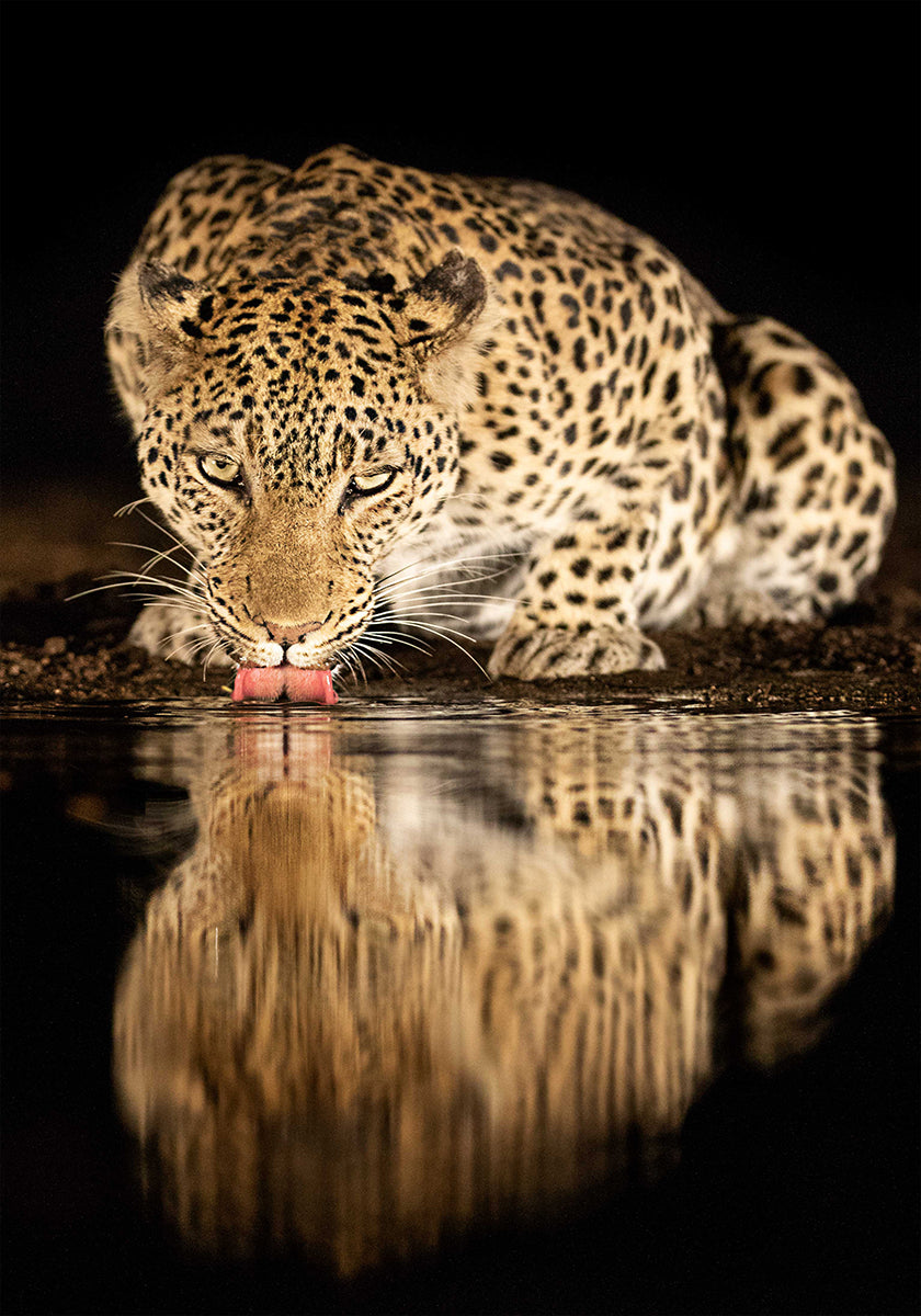 single mother Poster