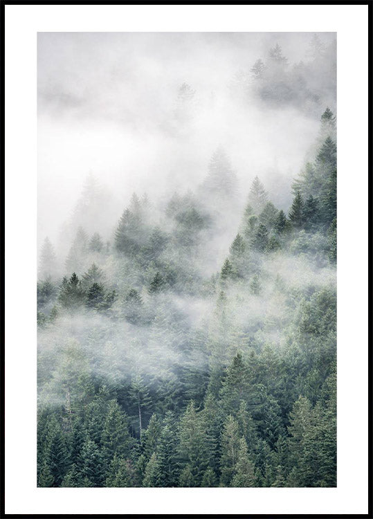 Tree Top Fog Poster - Posterbox.no