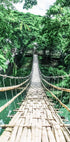 Bamboo Hanging Bridge Poster - Posterbox.no
