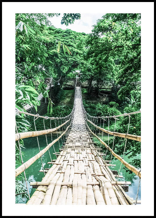 Bamboo Hanging Bridge Poster - Posterbox.no