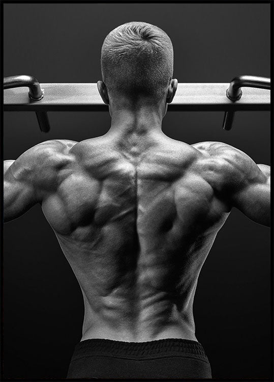 Back Fitness Poster - Posterbox.no