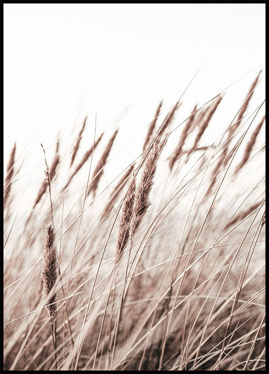 Boho Dried In Nature Poster - Posterbox.no