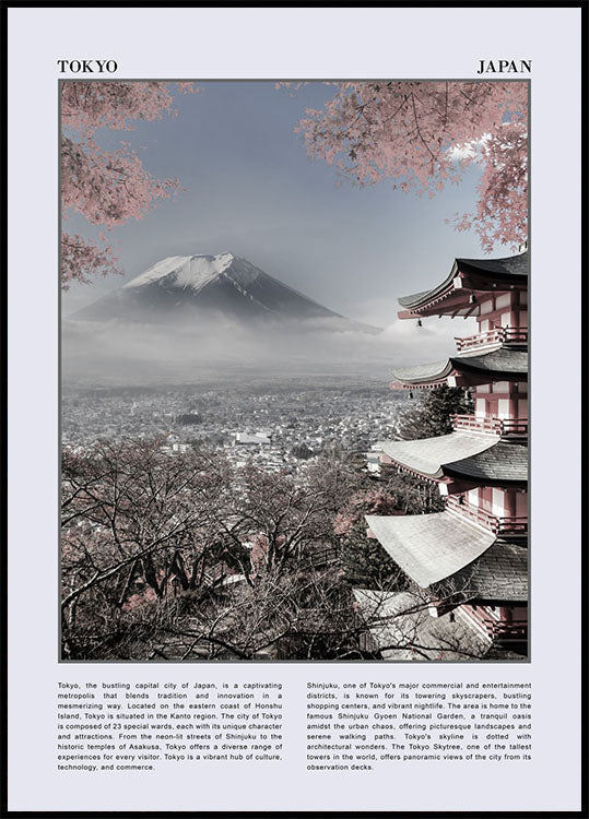 This Is Tokyo City Poster - Posterbox.no