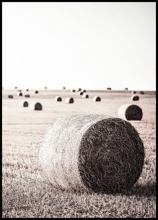 Rustic Hay Bale Poster - Posterbox.no
