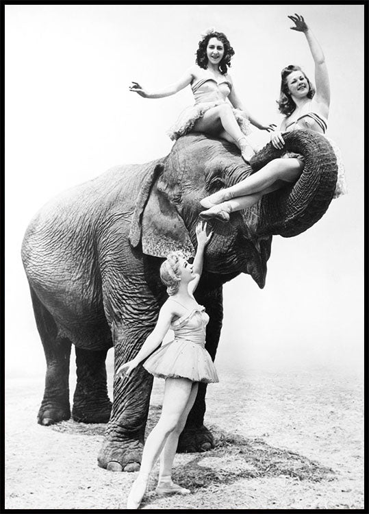 Women Riding Elephant Poster - Posterbox.no