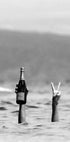 Woman with Wine in Beach Poster - Posterbox.no