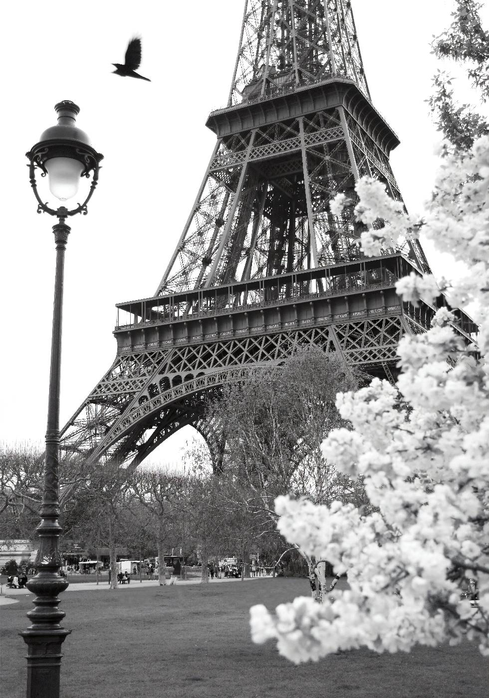 Street of Paris Poster - Posterbox.no