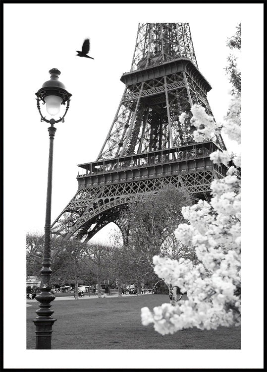 Street of Paris Poster - Posterbox.no