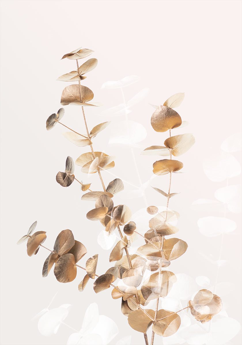 Eucalyptus Creative Gold 03 Poster