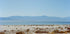 Bombay Beach Spring (NEW) - Posterbox