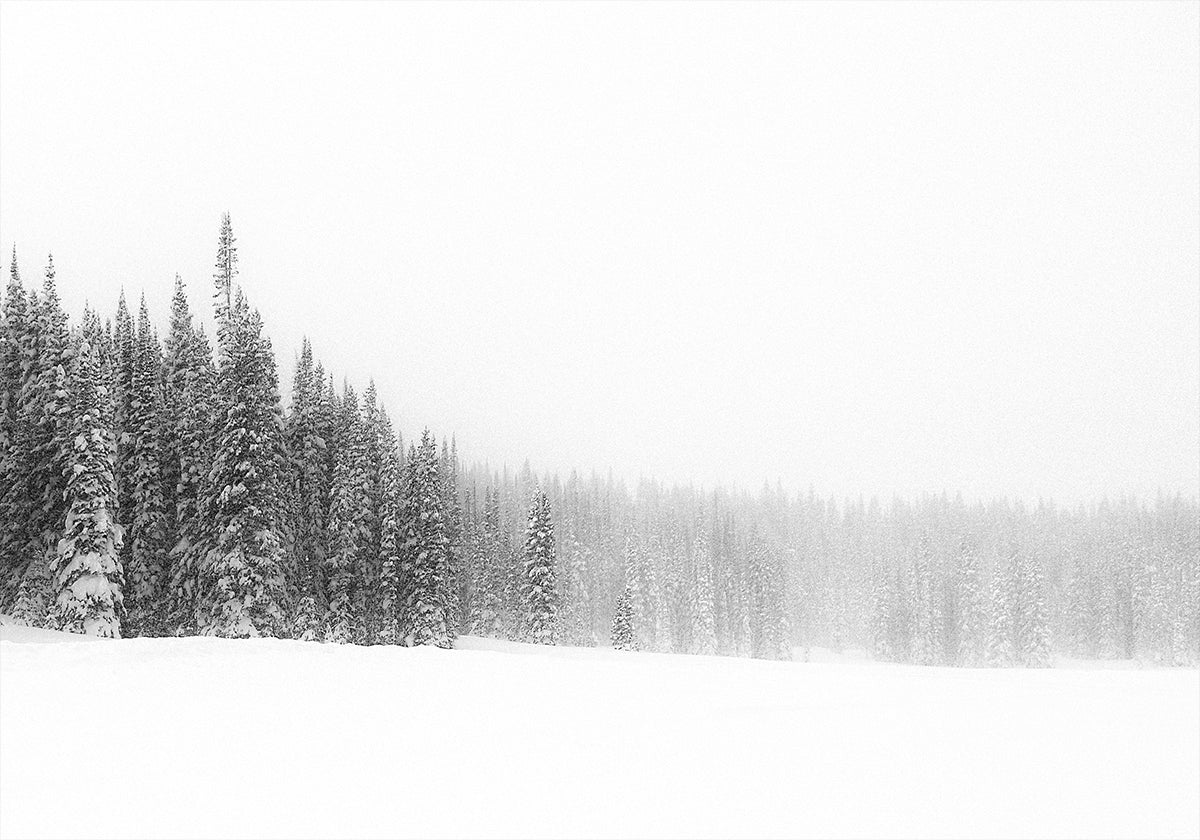 Forest for the Trees Poster