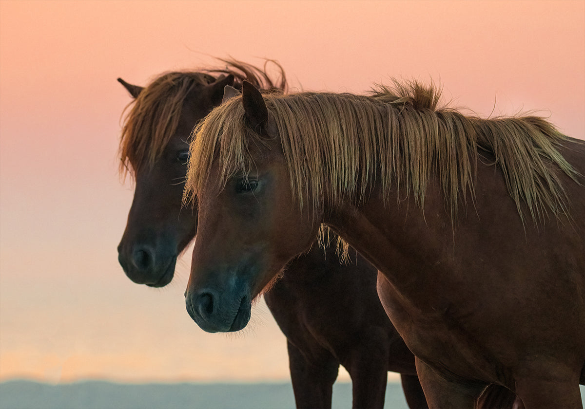 Looking forward Poster