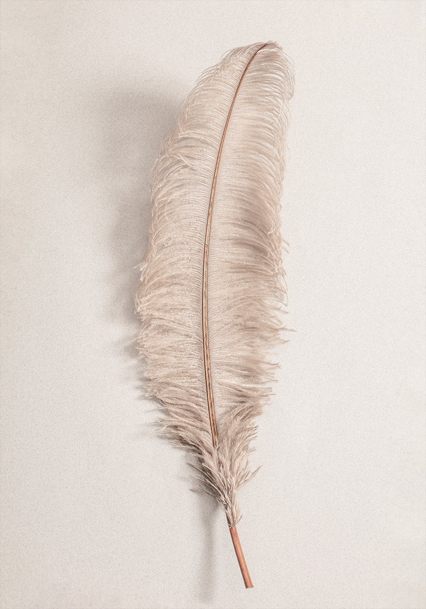 Feather No.2 Poster