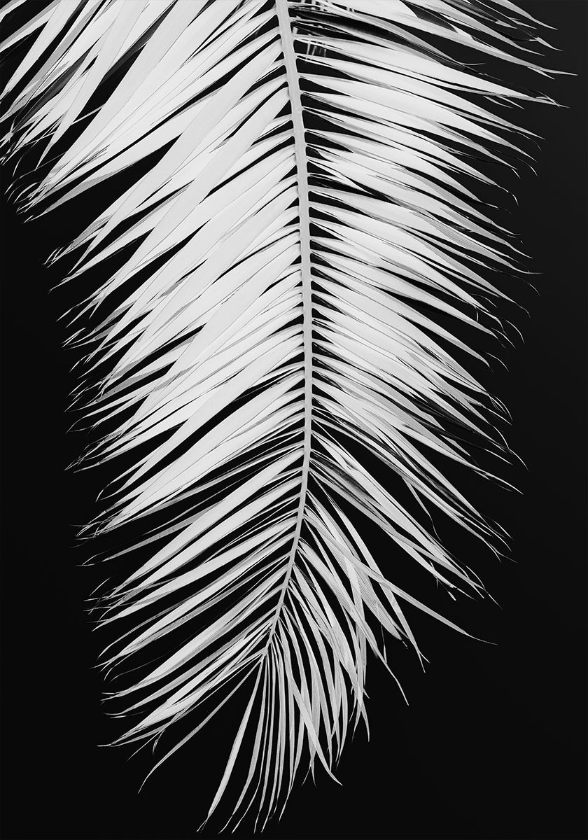 Palm leaf No.4 Poster