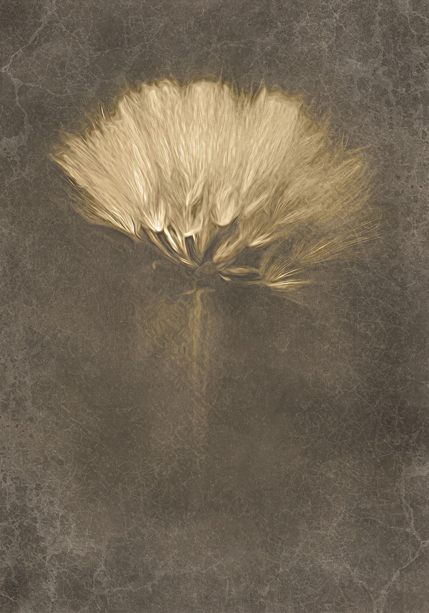 Mysterious Days Poster