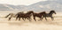 Wild Horses Running Poster - Posterbox.dk