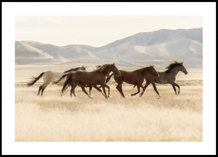 Wild Horses Running Poster - Posterbox.dk