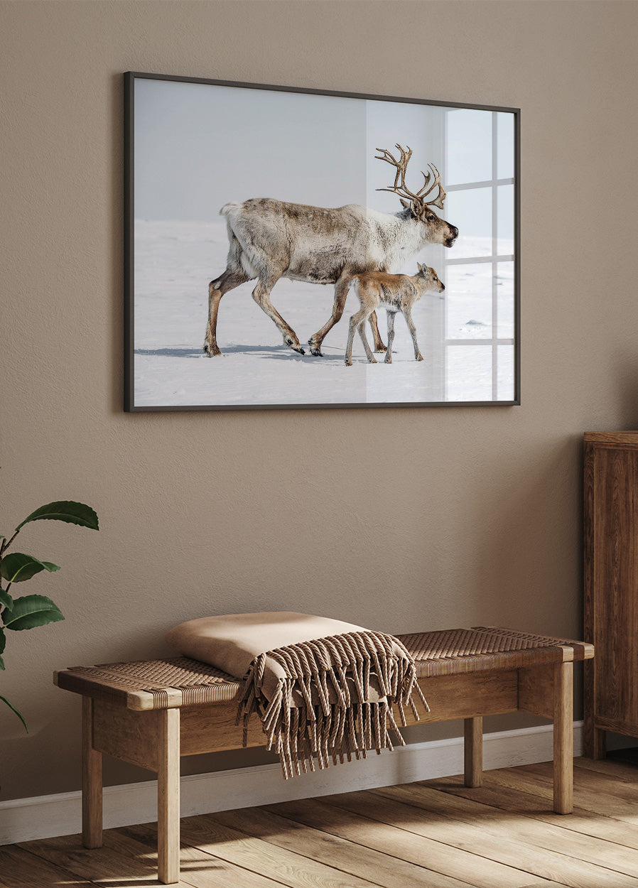 Reindeer With Offspring Poster - Posterbox.dk
