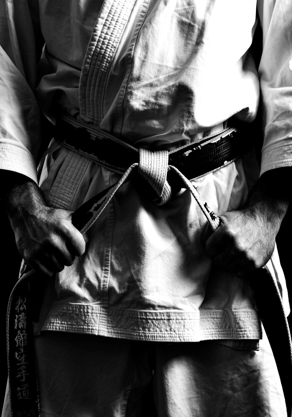 Martial Arts Poster - Posterbox.no