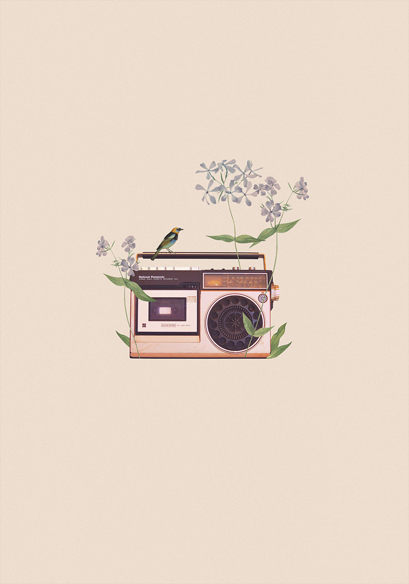 Floral vintage radio Poster