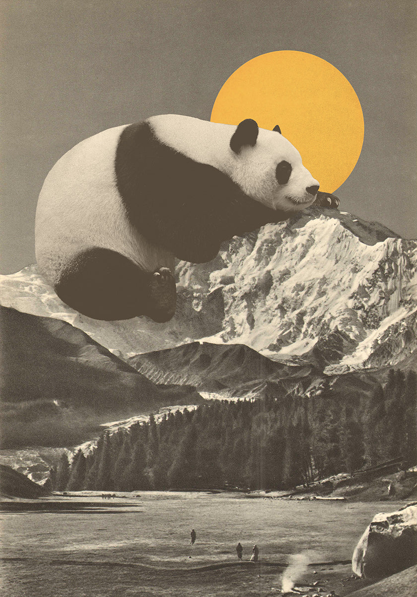 Giant Panda Nap Poster