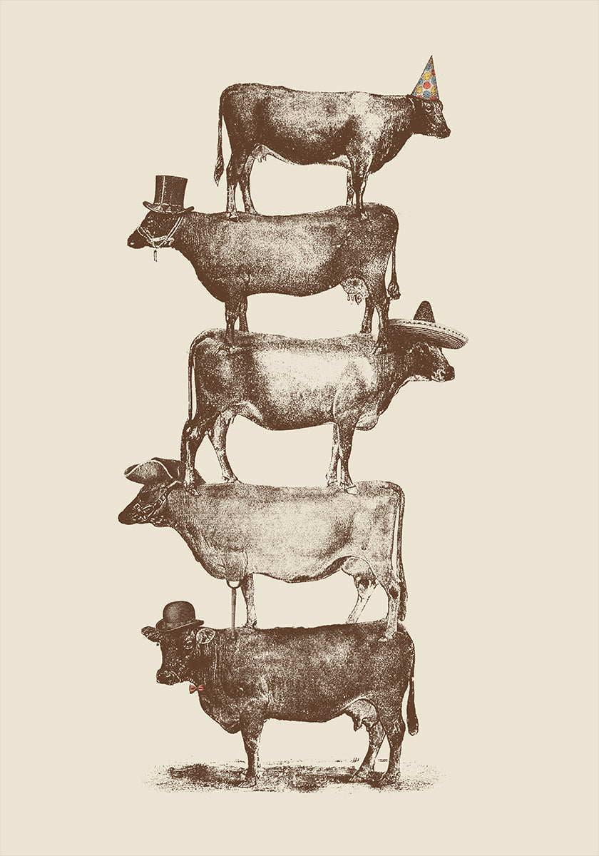 Cow Cow Nuts Poster
