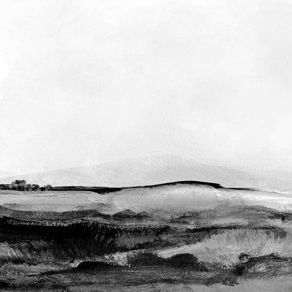 Mono Landscape No1 Poster